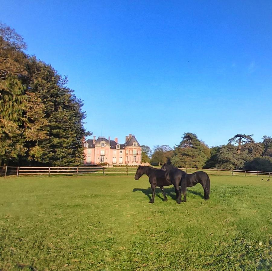 Chateau De Chantore Bacilly Bagian luar foto