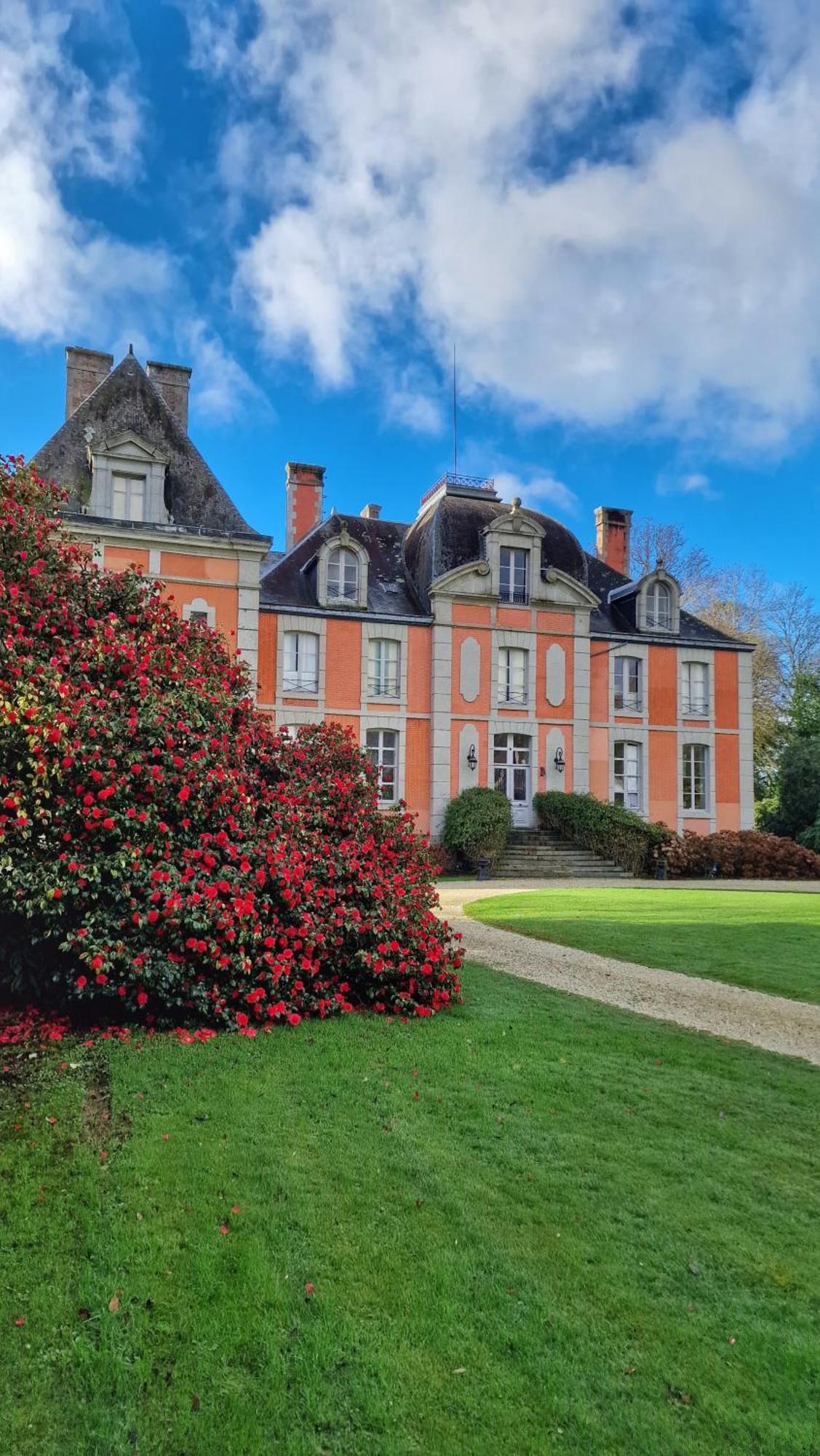 Chateau De Chantore Bacilly Bagian luar foto