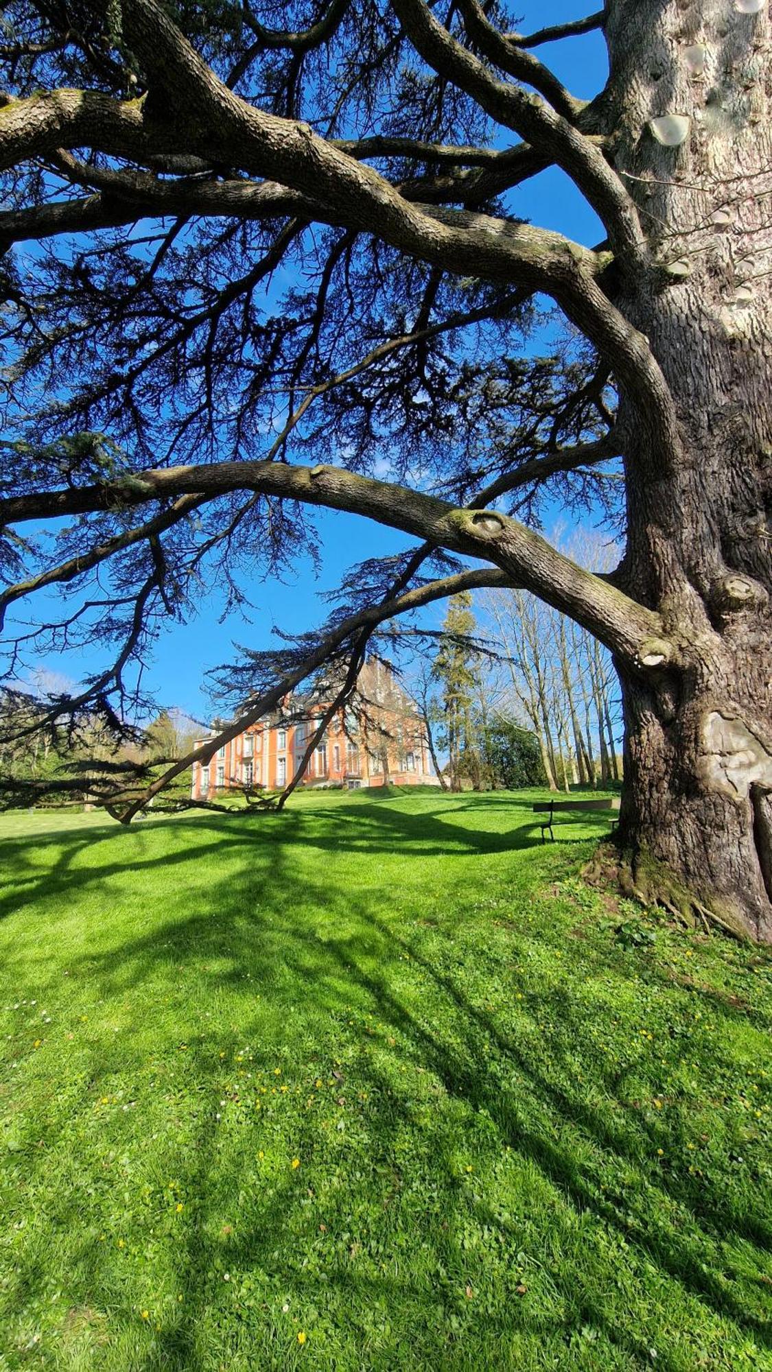 Chateau De Chantore Bacilly Bagian luar foto