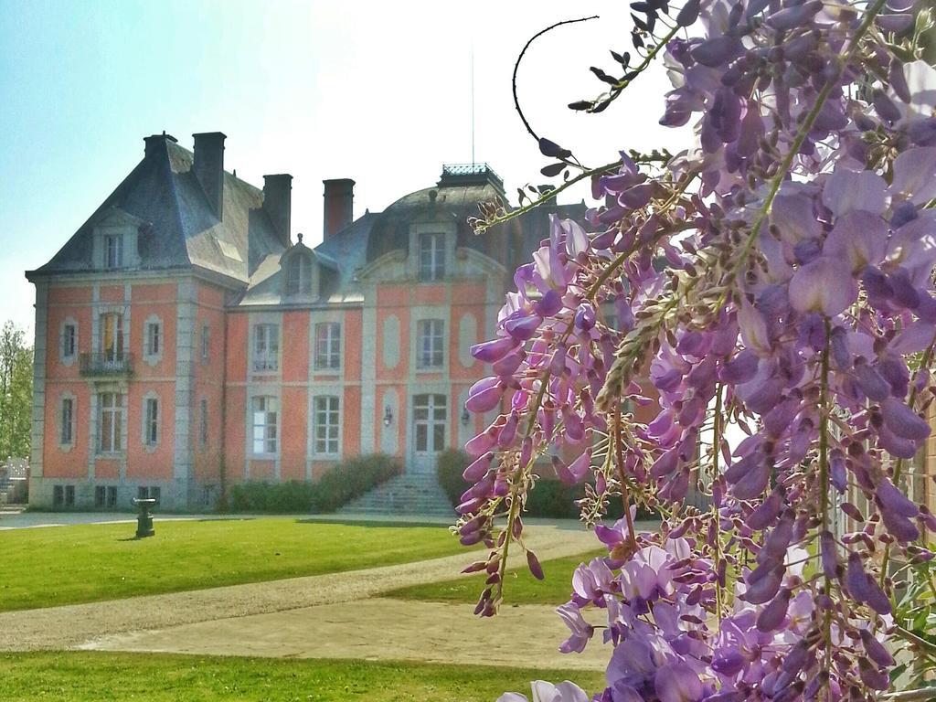 Chateau De Chantore Bacilly Bagian luar foto