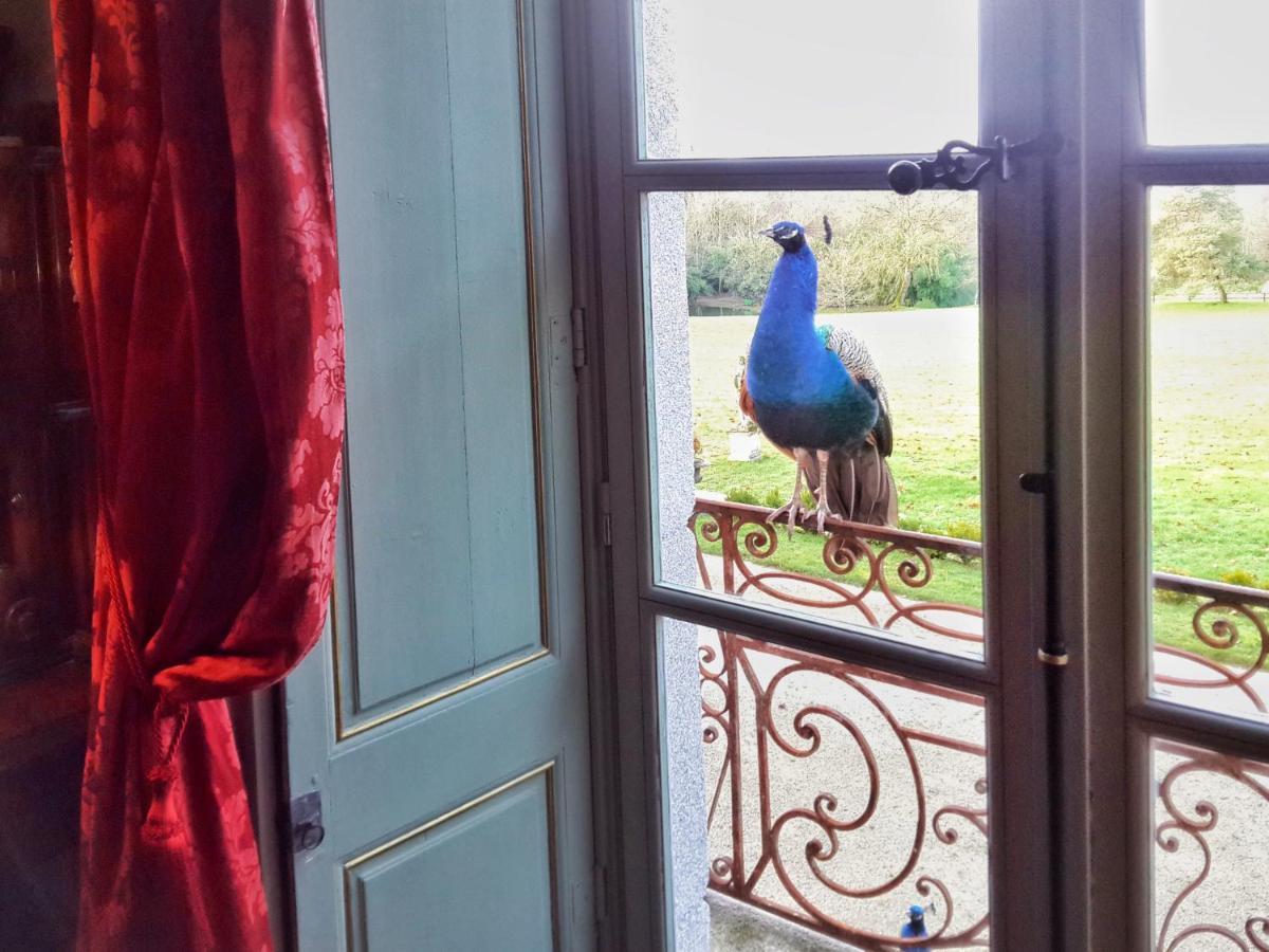 Chateau De Chantore Bacilly Bagian luar foto
